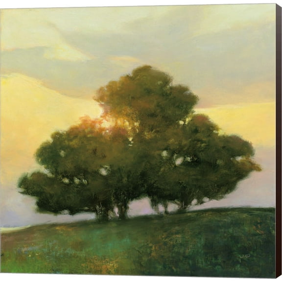 Spice Tree by Julia Purinton, Canvas Wall Art