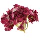 thumbnail image 5 of Cabezas de Flores de Artificiales, Cabeza de Flores para de , , Decoración Floral DIY, Decoración para hogar Macarena Flor De Seda De Hortensia, 5 of 8