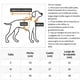 thumbnail image 4 of Mascota Rana Cosplay Ropa Traje Gato Cálido Invierno Suéter Abrigo Jersey Ropa Perro Sudadera Con Capucha Sudaderas Ropa De Cachorro Traje De Clima Frío Para Perros Pequeños Medianos, 4 of 4