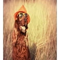 thumbnail image 3 of Ambesonne Animal Duvet Cover Set, Dog Wearing Hat Glasses, Twin, Redbrown Tan, 3 of 3