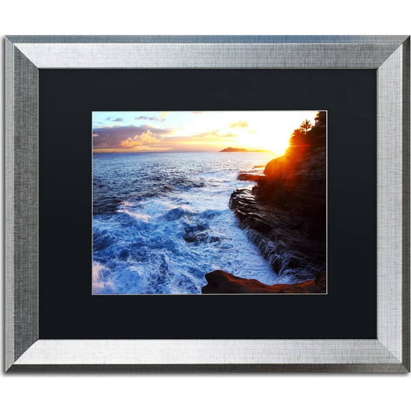 Trademark Fine Art "Hawaii 4" Canvas Art by Jason Shaffer, Black Matte, Silver Frame