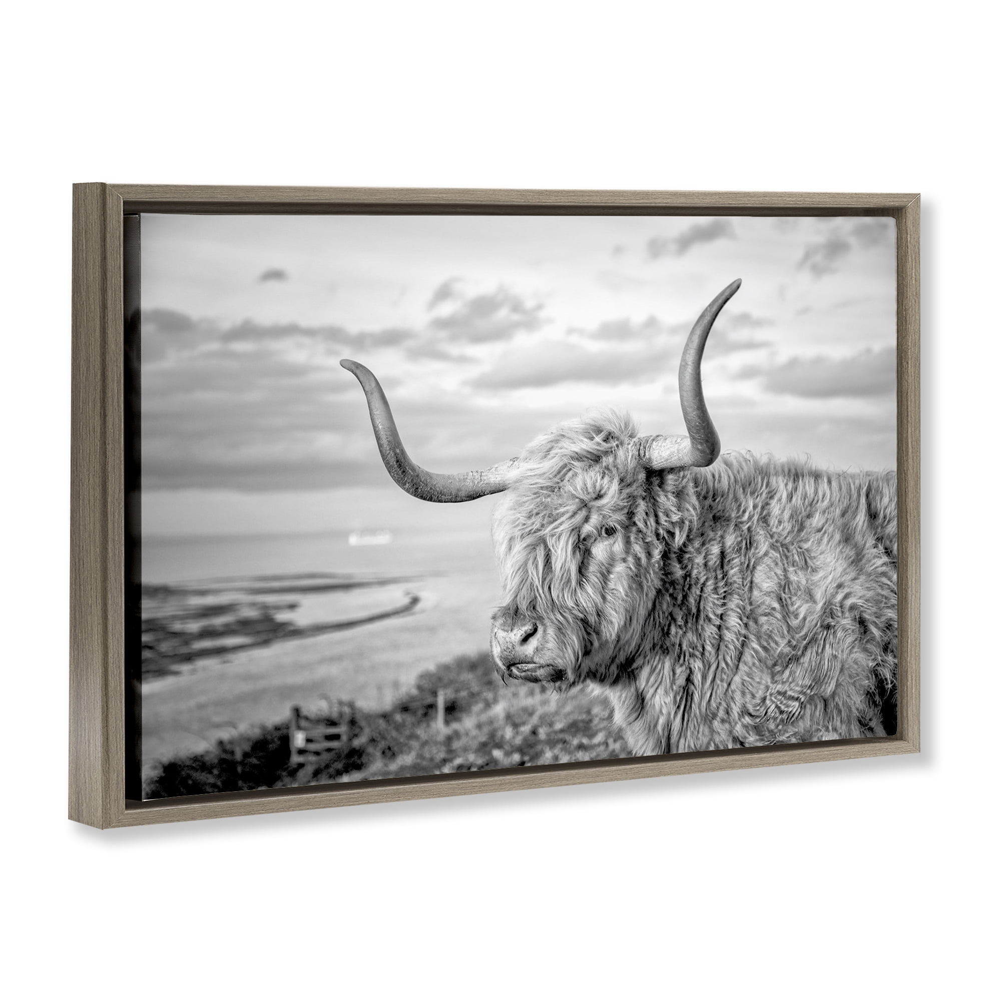 Stupell Industries Cattle with Ocean Breeze Animals & Insects Photography Brown Floater Framed Canvas Art Print Wall Art, 31 x 21