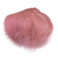 thumbnail image 2 of Fiudx Juego de Plumas de Colores, Decoración Artesanal, Material de Imitación Suave y Hermoso, Colores Brillantes y Variados, Ideal para Hacer Broches, Fiestas o Decoración Del Hogar, 6-12 Cm, 100 Pi, 2 of 2