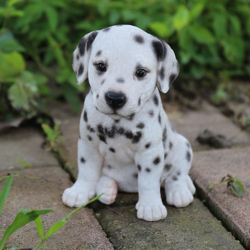 buying a dalmatian puppy