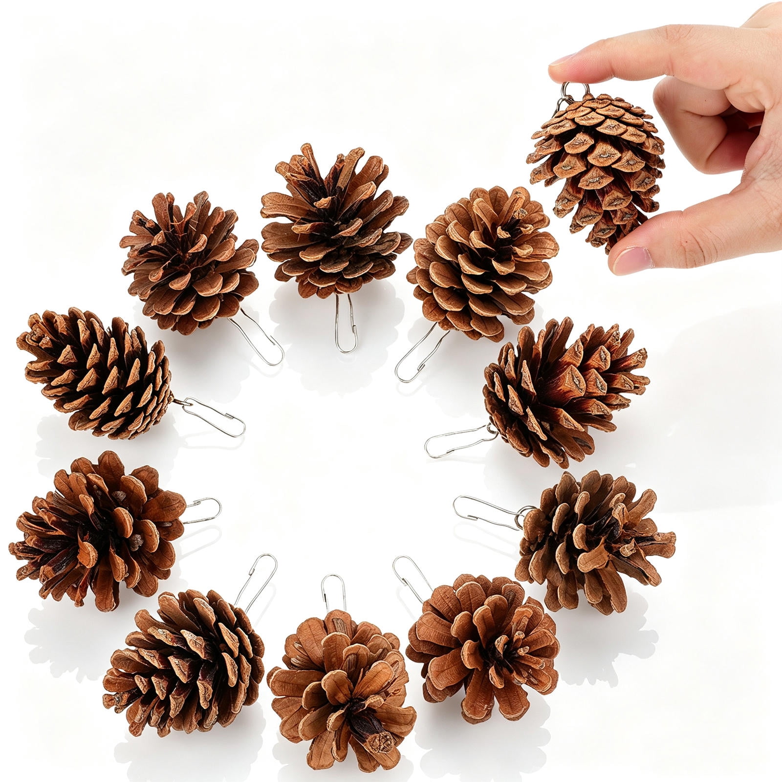 OUNONA 10pcs Natural Pine Cone Parrot Chew Toys Bird Cage Accessories Parrot Teething Toy Bird Cage Bite Toy For Small To Medium Birds