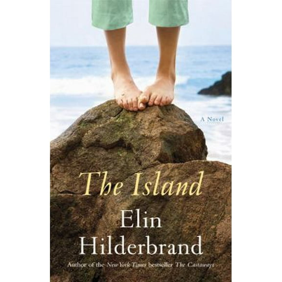 Pre-Owned The Island: A Novel (Hardcover) 0316043877 9780316043878