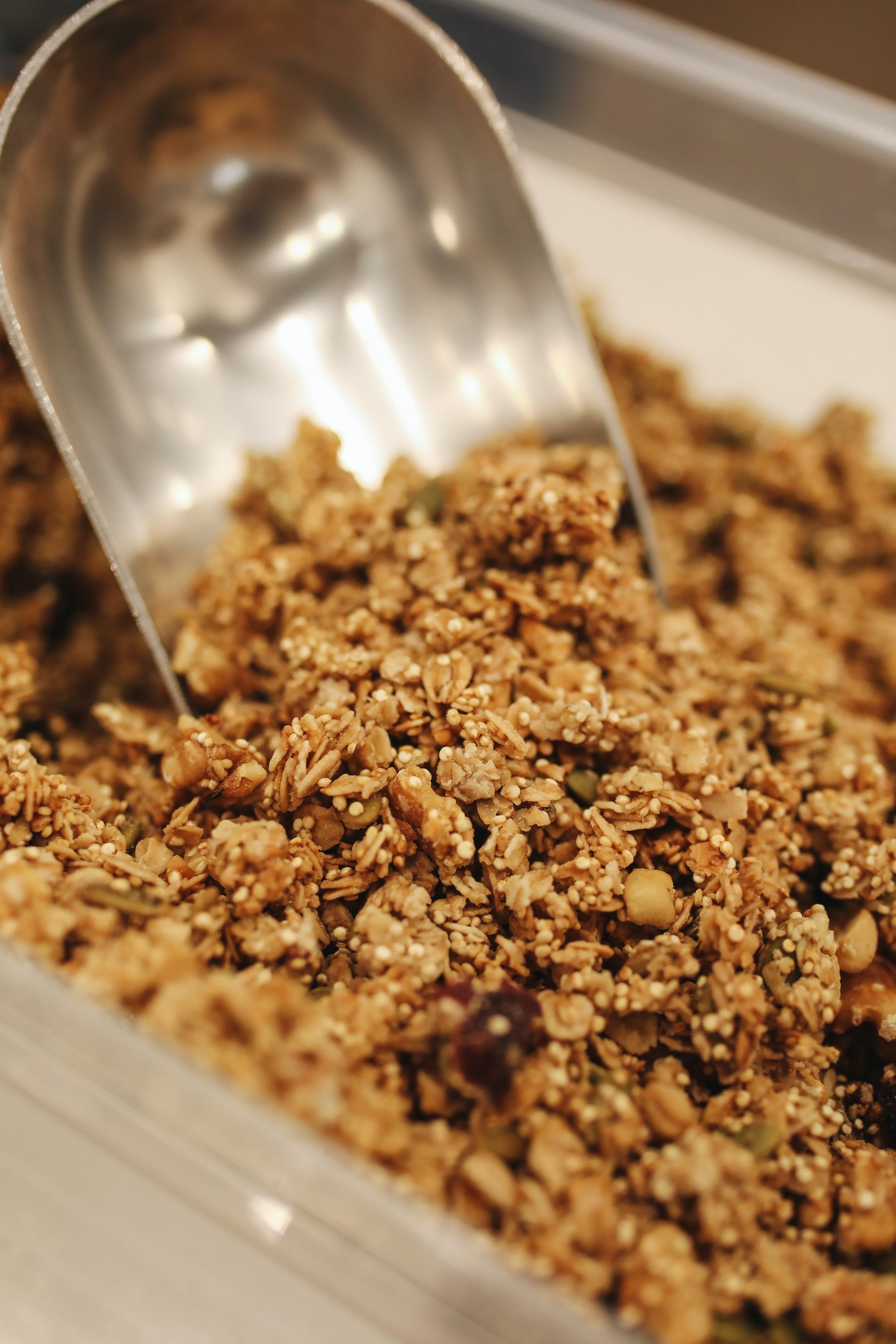 Naturalvert Organic, Gluten free, Vegan granola- Original Vegan (12oz)