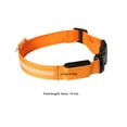 thumbnail image 2 of USB Rechargeable Collier Lumineux pour Animaux de Compagnie Collier Lumineux pour Animaux de Compagnie Collier Lumineux pour Animaux de Compagnie avec Sangle, Orange, M, 2 of 7