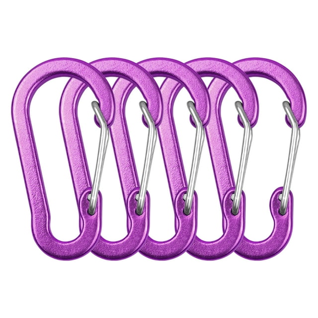 Lot de 5 Pinces Mousqueton Mini en Alliage d'Aluminium pour Porte-Clés, Clip Mousqueton Anneaux en D pour Camping, Randonnée, Pêche, Backpacking