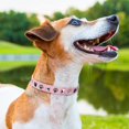 thumbnail image 6 of Leather Dog Collars for Small Medium Dogs with Rivet, Adjustable Studded Cute Dog Collar for Pet Boy Girl Kitten Cats, Bling Spiked Puppy Collars, 6 of 8