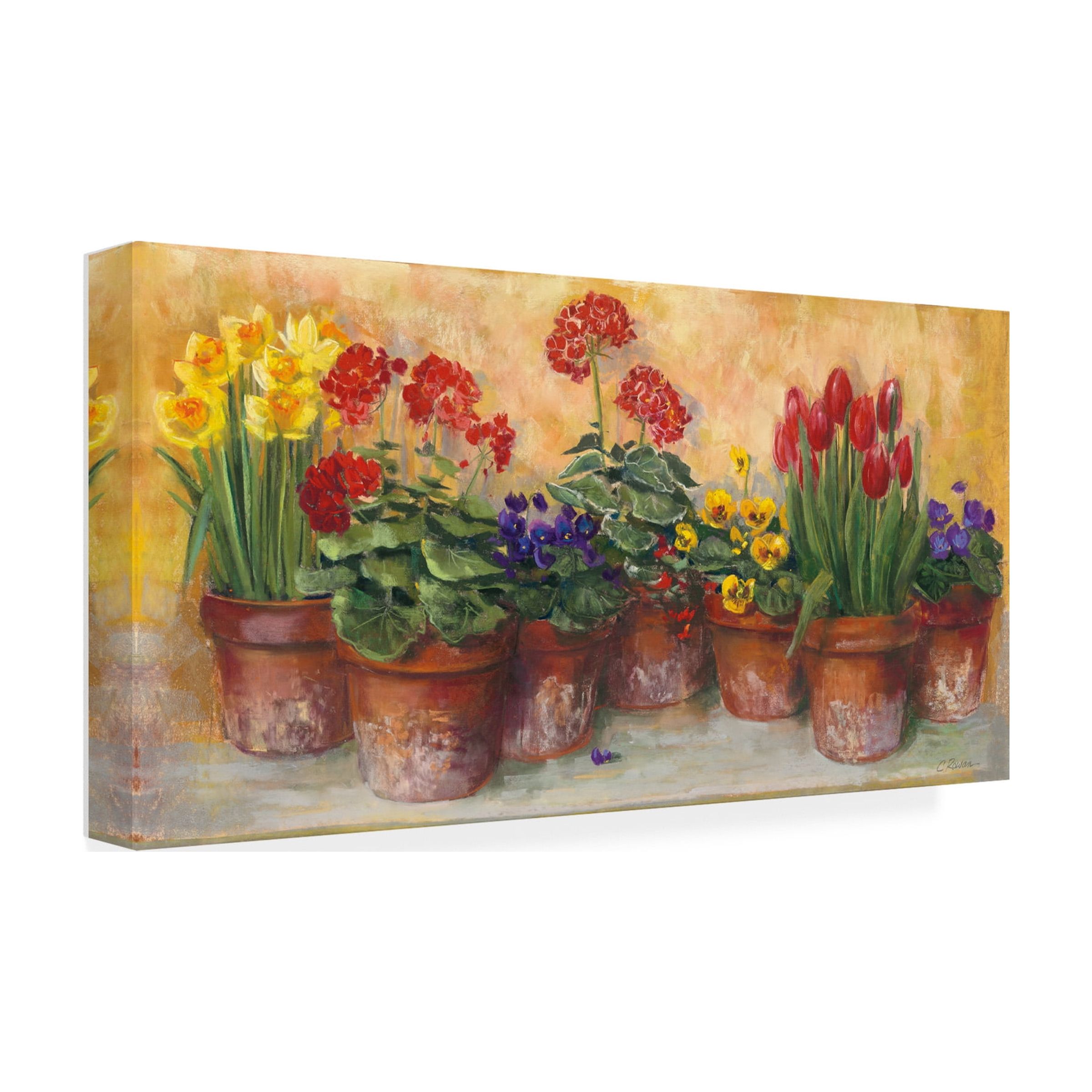 Trademark Fine Art 'Spring in the Greenhouse' Canvas Art by Carol Rowan