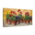 thumbnail image 4 of Trademark Fine Art 'Spring in the Greenhouse' Canvas Art by Carol Rowan, 4 of 4