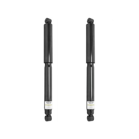 Rear Shock Absorber Kit - 2 Piece - Compatible with 2004 - 2010 Ford F-150 2005 2006 2007 2008 2009