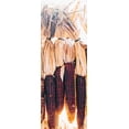 thumbnail image 2 of Wampum Ornamental Native Corn Seeds/ Annual/ Full Sun/ 125 Seeds 1 oz/ Zellajake Farm and Garden- M6, 2 of 5