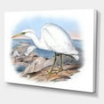 thumbnail image 3 of Designart ' Ancient Australian Birds XIII ' Traditional Canvas Wall Art Print, 3 of 4