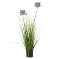 thumbnail image 1 of Hill Interiors Agapanthus Plant Pot, 1 of 4