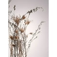 thumbnail image 2 of Design Fabrikken 18x24 White Modern Wood Framed Museum Art Print Titled - Everlasting, 2 of 4