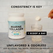 Amandean Marine Collagen Powder, Unflavored, 17.6 Oz | Wild-Caught Hydrolyzed Fish Collagen Peptides | Type 1 & 3 Protein Supplement