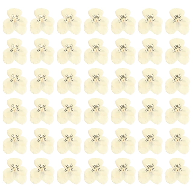 60 flores de pensamiento de resina seca blanca, flores de pensamiento naturales, joyería, vela, tarjeta, fabricación de jabón, álbum de recortes, bricolaje