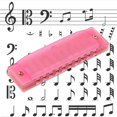 thumbnail image 5 of 4 PCS Harmonica for Kids, 10 Hole Translucent Harmonica for Children Kids, 5 of 5