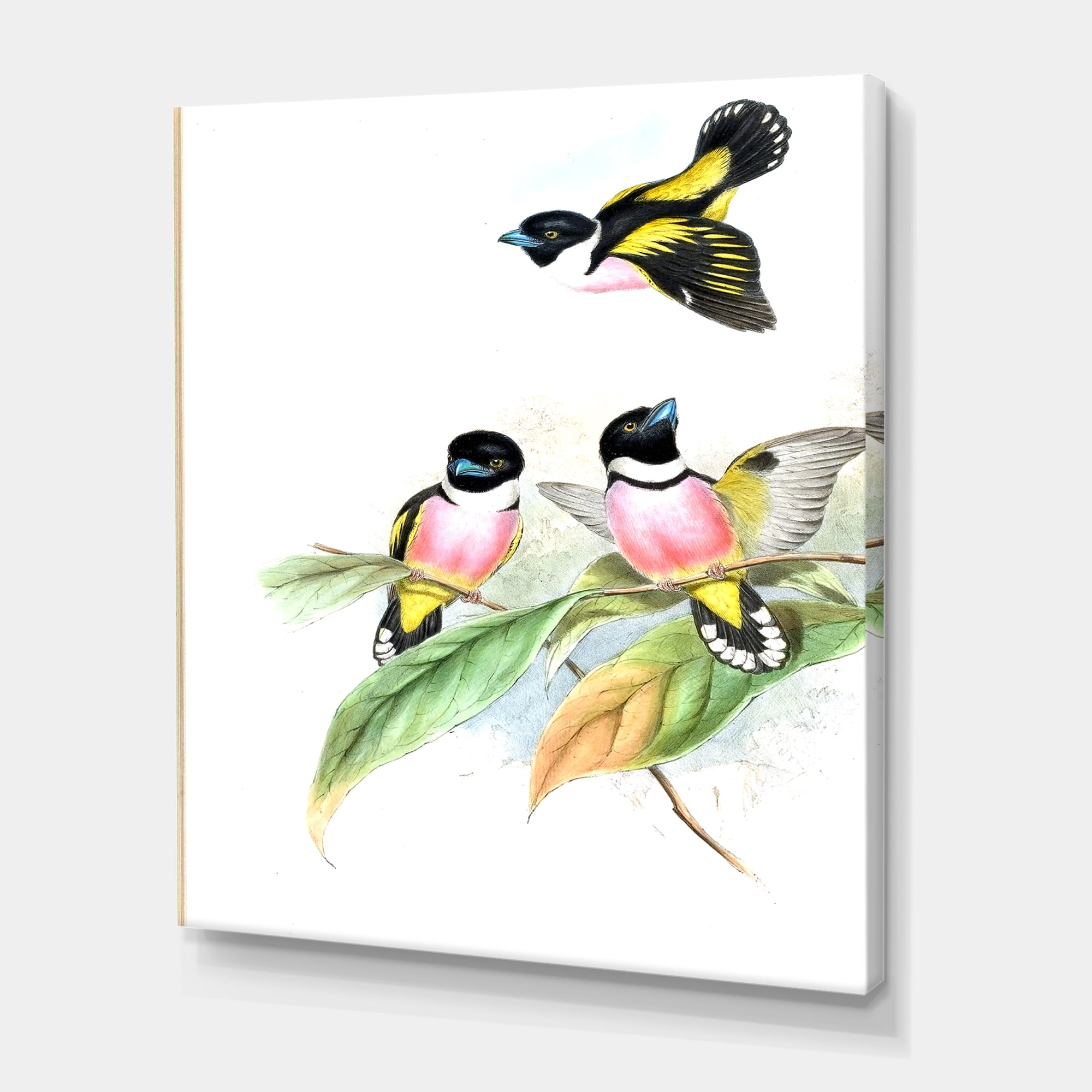 Designart ' Ancient Birds III ' Traditional Canvas Wall Art Print