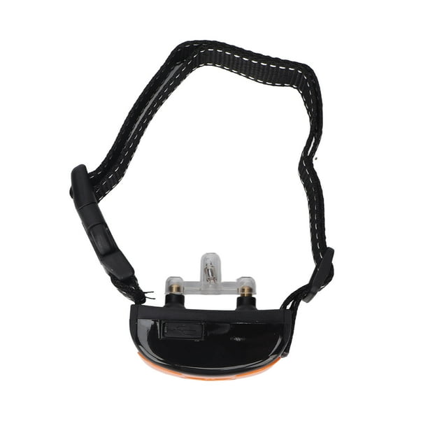 Dog buzzer outlet collar