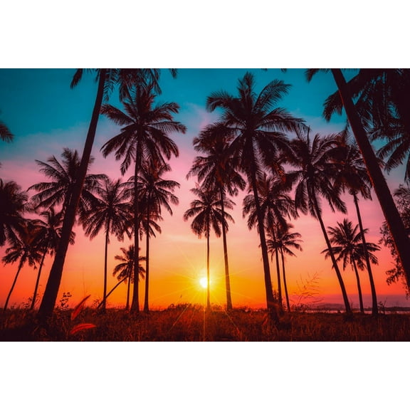 Art.com Silhouette Coconut Palm Trees on Beach at Sunset. Vintage Tone. Photographic Print by Nuttawut Uttamaharad, 18" x 12"