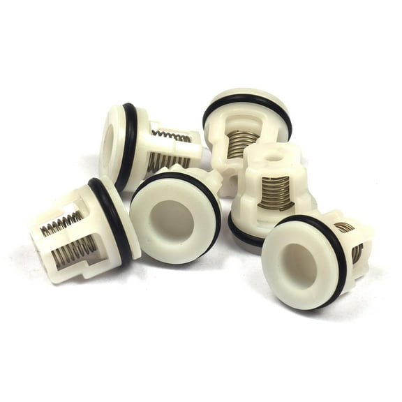 Briggs & Stratton Check Valve Kit | 200344GS