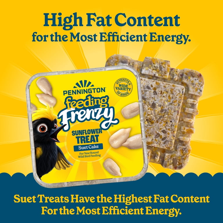 12 pack) Pennington Feeding Frenzy Sunflower Suet Treat Cake 11 oz