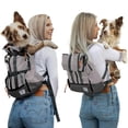 thumbnail image 1 of Mochila portabebés K9 Sport Sack Urban 3 Small 33-41 cm, 1 of 8