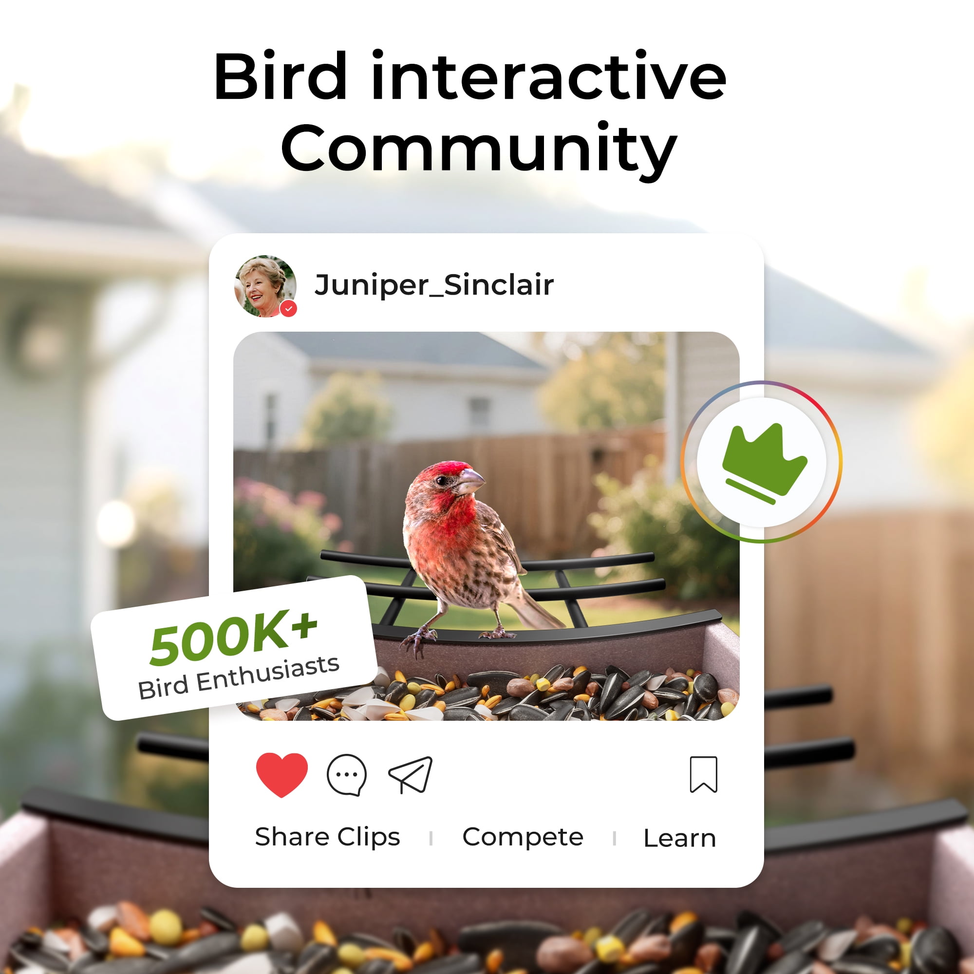 TT Nature HDPE Smart Bird Feeder with Camera, Solar Powered, AI Bird Identification, Auto Capture & Instant Alerts,  Perfect Gift for Bird Lovers