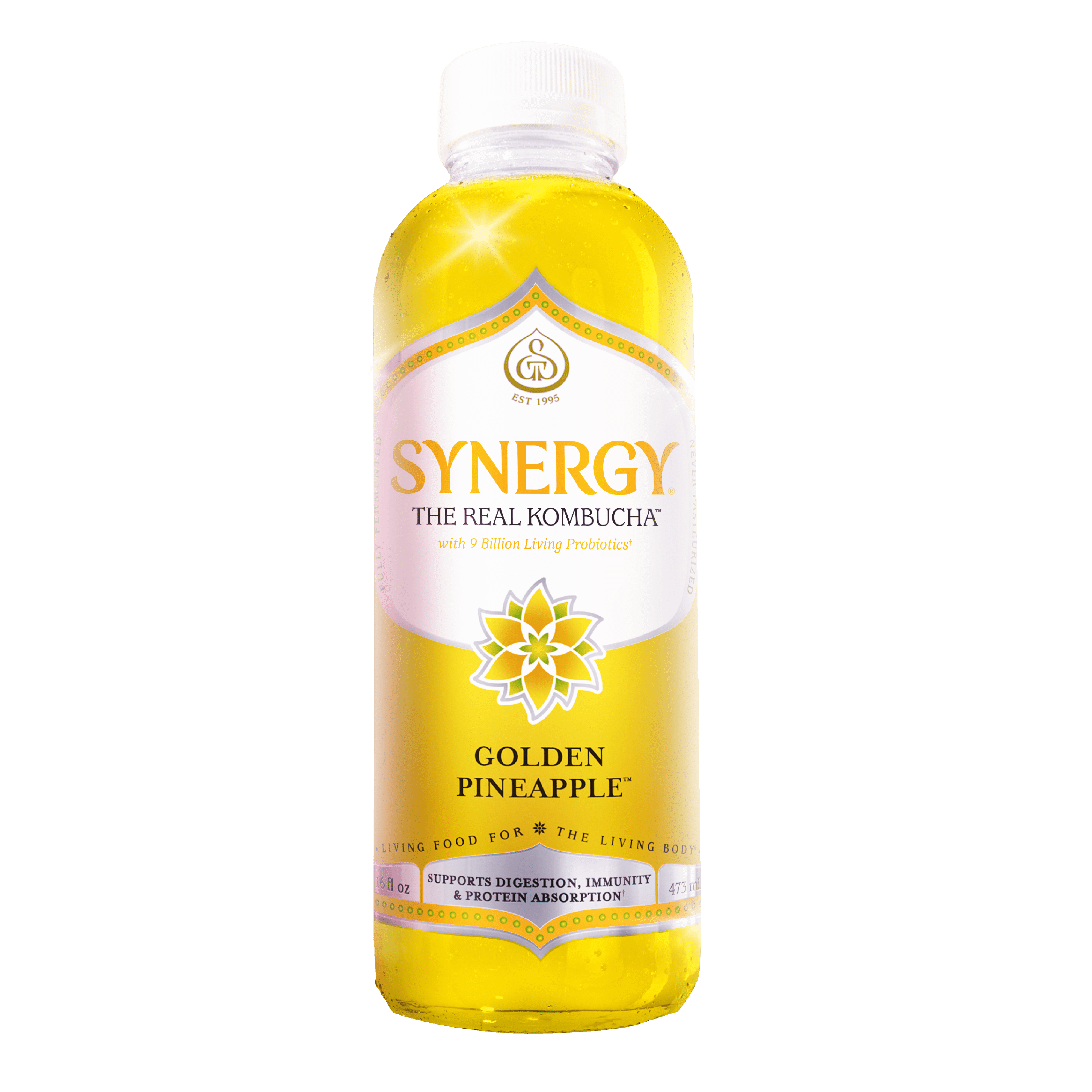 Synergy Golden Pineapple Kombucha 16 fl oz - Walmart.com