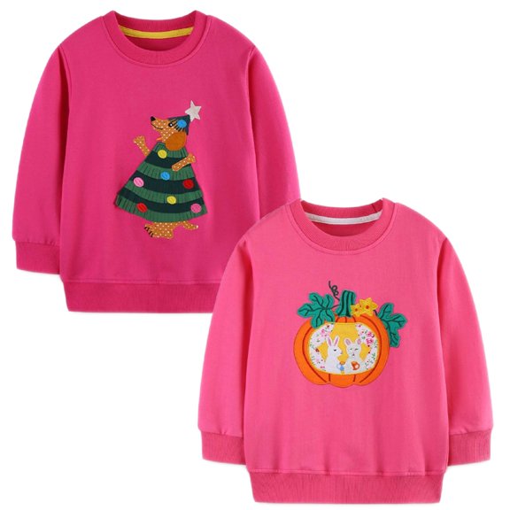 DOZINSIX 2 Pack Toddler Girls Crewneck Sweatshirts Kids Cotton Cute Embroidered Long Sleeve Fall Winter Pullover Tops