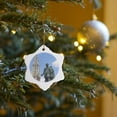 thumbnail image 7 of 3drose, Belgium, Antwerp, Groenplaats, Rubens Statue-eu04 Len0057 - Lisa S. Engelbrecht, 3 inch Snowflake Porcelain Ornament, 7 of 7