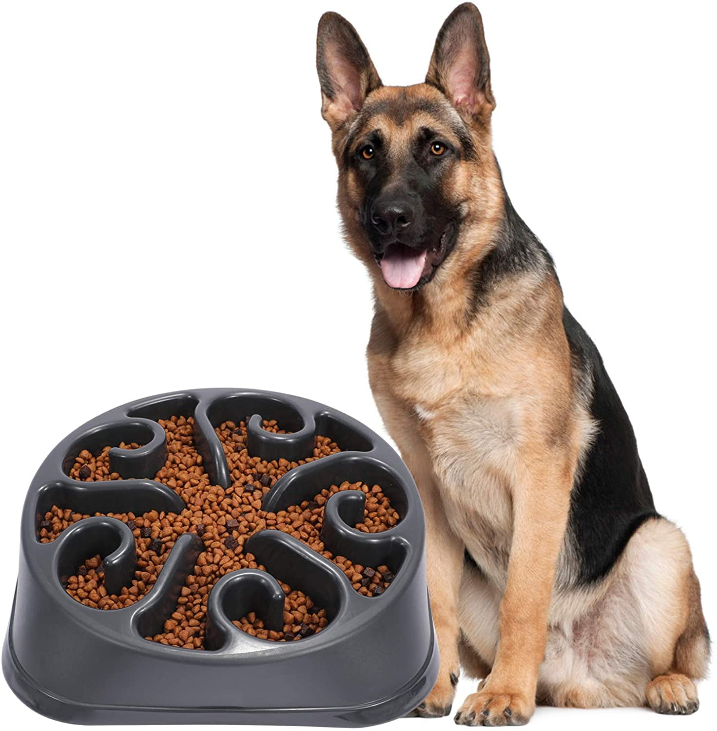 slow feeder large dog bowl