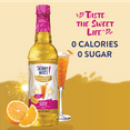thumbnail image 2 of Jordan's Skinny Mixes Sugar-Free Citrus Spritz Syrup - 25.4 fl oz, 750mL Plastic Bottle, 2 of 5