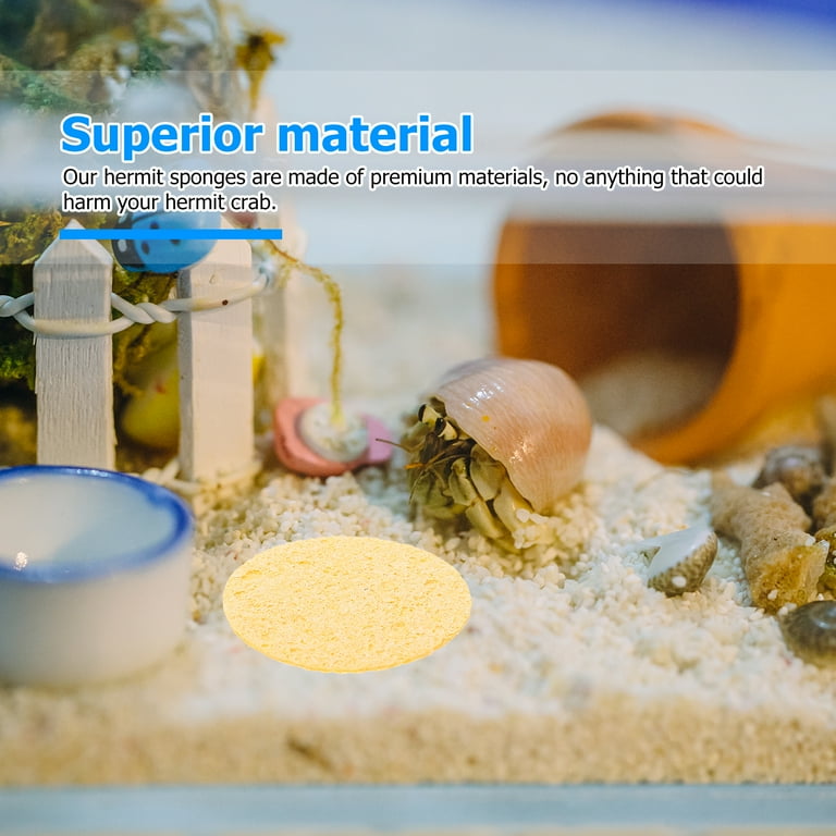 Natural Hermit Sponges: 12pcs Drinking Nutrients Tank Humidity