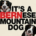 thumbnail image 3 of CafePress - It's A Bernese Mountain Dog Light T Shirt - Light T-Shirt - CP, 3 of 5