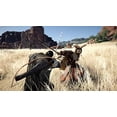 thumbnail image 3 of Crimson Desert - Xbox Series X, 3 of 3