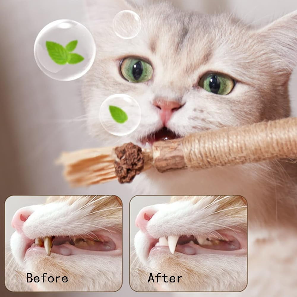 Elystria Silvervine, Elystria Natural Silvervine Dental Sticks, Silvervines Sticks for Cats, Interactive Kitten Chew Playthings, Pets Cat Chew Stick Toy, for Cats Teeth Cleaning