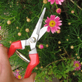 thumbnail image 4 of Tijeras de jardín multitarea para arreglar flores, podar plantas, cosechar hierbas, frutas Ormromra CPB-US-DYP376-4, 4 of 5