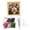 L, variant on DIY Yarn Poke Painting Kit for Christmas, 20cm Punch Needle Craft Set with Wooden Frame, Santa Snowman Handmade Home Decor