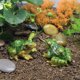 thumbnail image 4 of 2 piezas de esculturas en forma de rana, decoración de micropaisaje, adornos de ranas en miniatura, 4 of 5