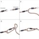 thumbnail image 5 of CHAO Juego de 2 cuerdas de extensión ajustables para columpios de 110-180 cm con suspensión, 5 of 5