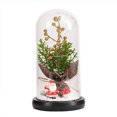 thumbnail image 1 of Cúpula de cristal Plantas navideñas Decoraciones navideñas Cúpula de cristal Rama de pino navideño con luces, 1 of 5