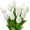 10pcs Blooming White, variant on 10/20/24 Pcs Artificial Tulips Flowers Mixcolor Real Touch Fake Tulips Fake Flowers for Mother's Day 13.5" Faux Tulips Faux Flowers Bulk Artificial Tulips  Centerpieces Home Wedding Bouquet
