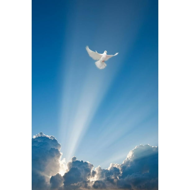 Flying Dove and Clouds Spiritual Cool Huge Large Giant Poster Art 36x54