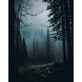 thumbnail image 4 of Maki 12x14 White Modern Wood Framed Wall Art Titled - Overcast Forest Ii, 4 of 6