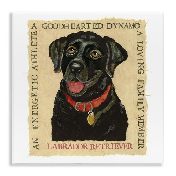 Stupell Industries Fun Black Labrador Phrases Animals Painting Unframed Art Print Wall Art, 12 x 12