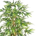 thumbnail image 2 of Nearly Natural 5253 Arbre en Soie de Bambou, 64 Pouces, Vert, 2 of 4